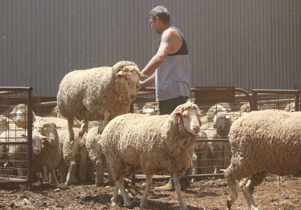 Sheepcatcher II report has been postponed for public release until March due to the alarming findings over mob-based traceability. 