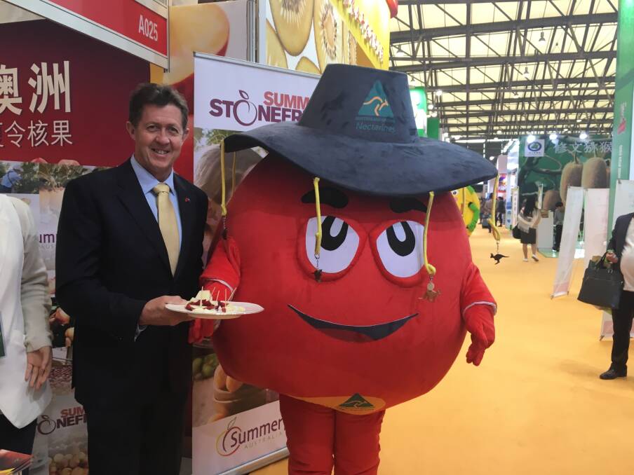 FREE SAMPLES: Federal Member for Cowper, Luke Hartsuyker, with Mr Nectarine, helping to promote the first shipment of Australian nectarines which landed in China this week. 