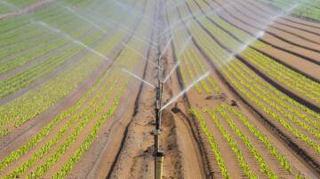 YaraRega can be delivered using existing pivot or lateral irrigator or sprinkler or drip irrigation system without fear of blockages. Picture supplied