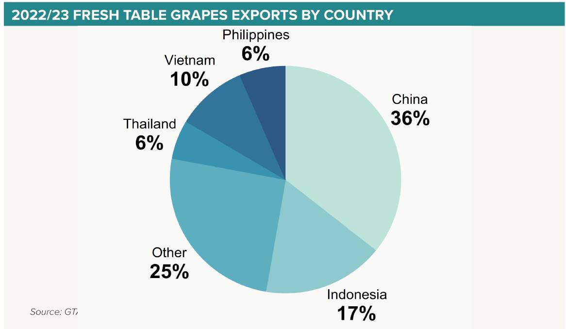 For the year ending June 2023, 36pc of exported fresh table grapes were sent to China, as profiled in the chart above. Picture supplied