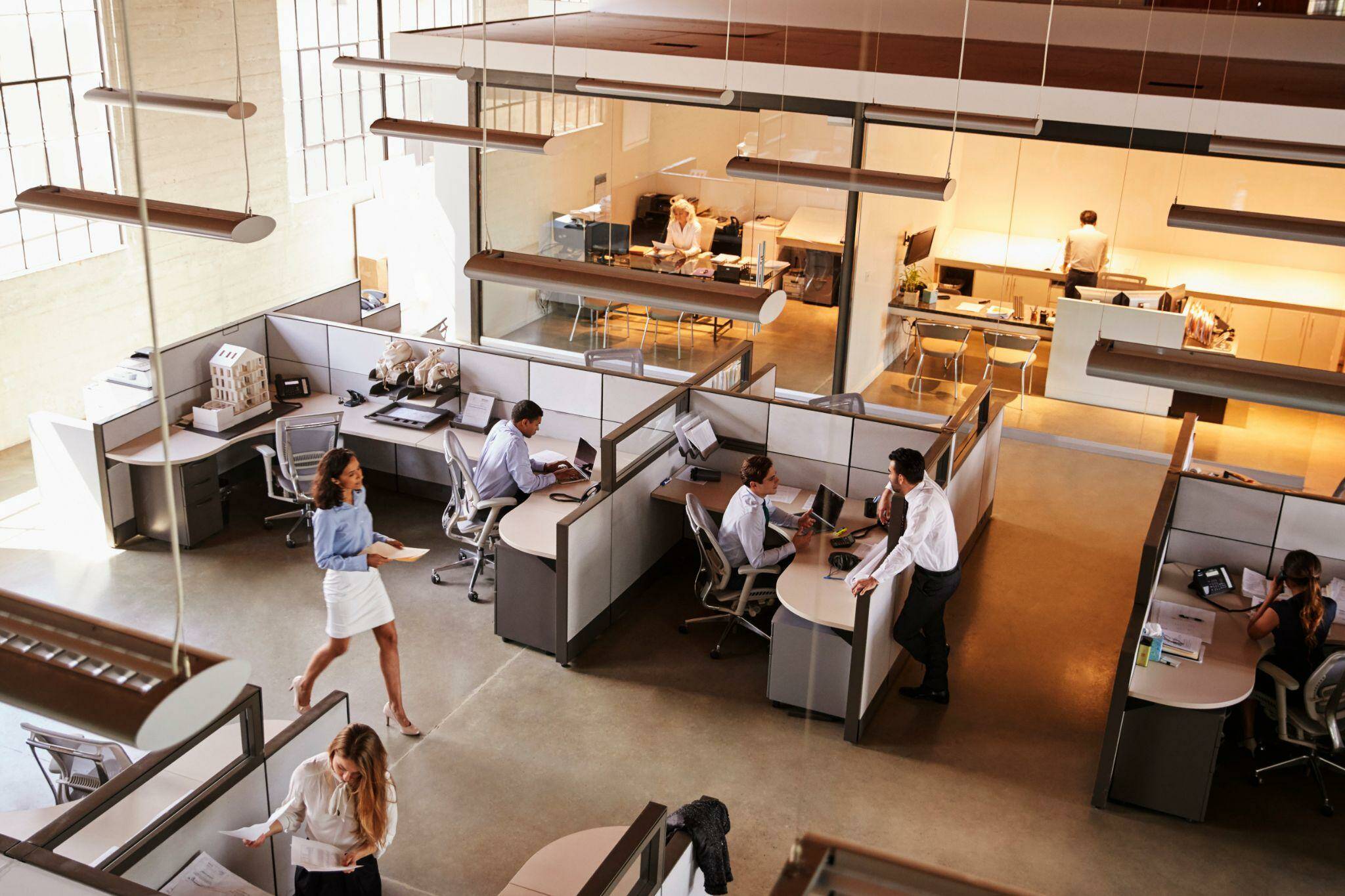 Working without borders: How to create & maintain an open plan office |  Farm Online | ACT