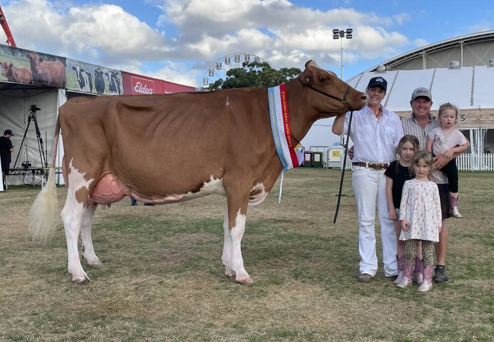 Interbreed champion senior cow Bluechip EV Shesaawesome Apple-ET-Red, exhibited by Jessica and Brad Gavenlock, Cherrylock Cattle Co at Tallygaroopna, Vic, with their children Maggie, Britney and Penny.