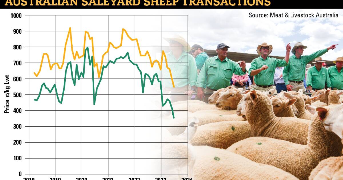 Rain gives lamb prices a boost Farm Online