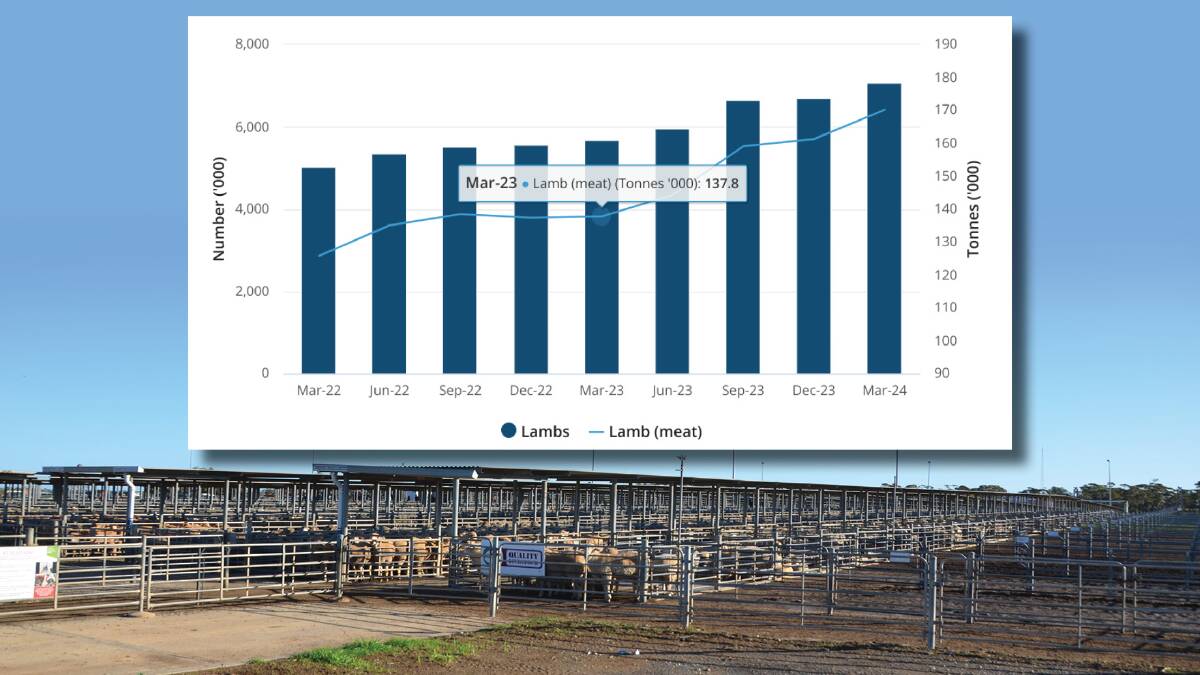 Data from the Australian Bureau of Statistics shows the rise of the national lamb slaughter. 