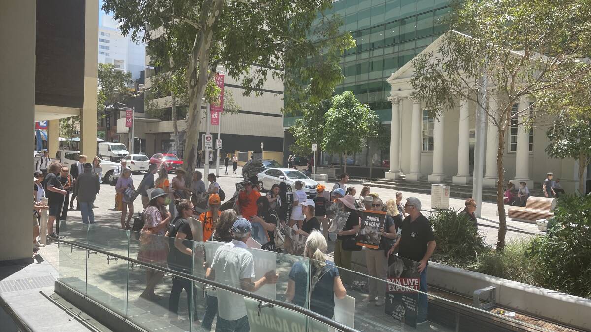 Animal rights protestors waited outside the court in Perth during a hearing that saw animal cruelty charges against Emanuel Exports dropped. 