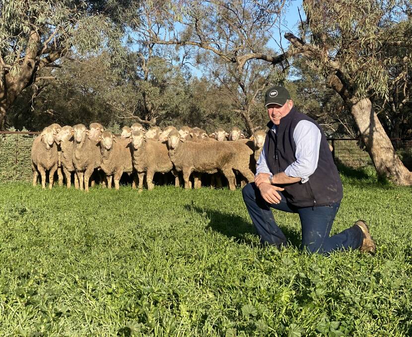 COMMERCIAL DEMAND: Woodpark Poll stud principal Stephen Huggins, Hay, NSW, with a selection of this year's quality sale rams.