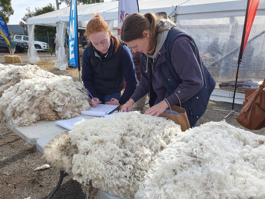 The Australian Dohne Breeders' Association is hosting an Education Program at the Australian Sheep & Wool Show for young people interested in learning more about the Dohne breed. Picture supplied