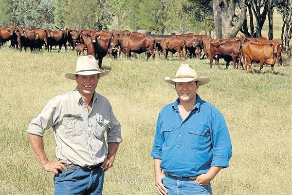 Mudgee beef producer, Scott Kennedy-Green, with mixed-aged cows with two-year-old calving heifers on “Erudgere”, with the property manager, James Stephens.