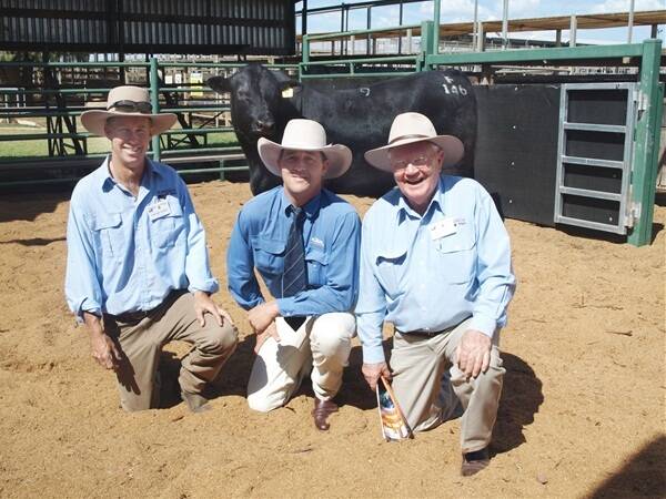 Burenda Angus Bulls To 15 500 Farm Online Australia