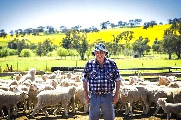 NSW grazier Cecil Burgess says it is the best spring season he has seen since 1974. Photo: Jamila Toderas
