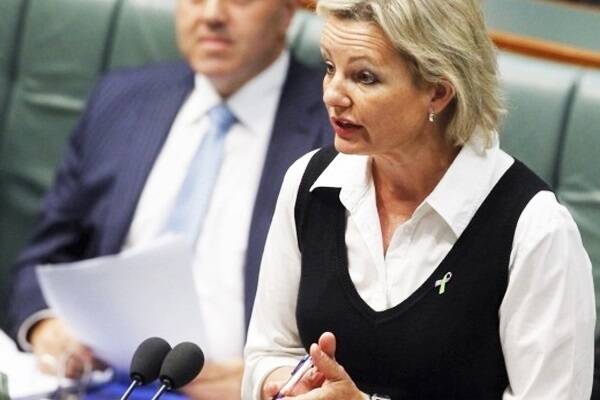 Country MP Sussan Ley was appointed Health Minister in December.