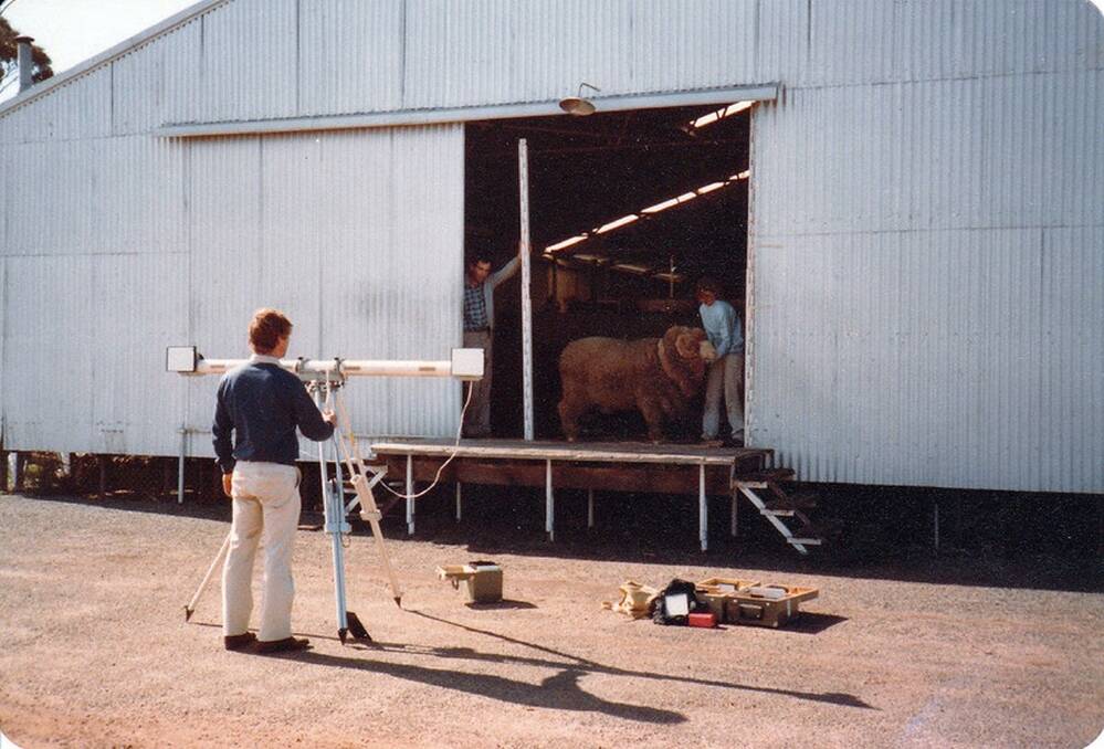 Wagin's giant ram turns 30 this year - this is how it was built.