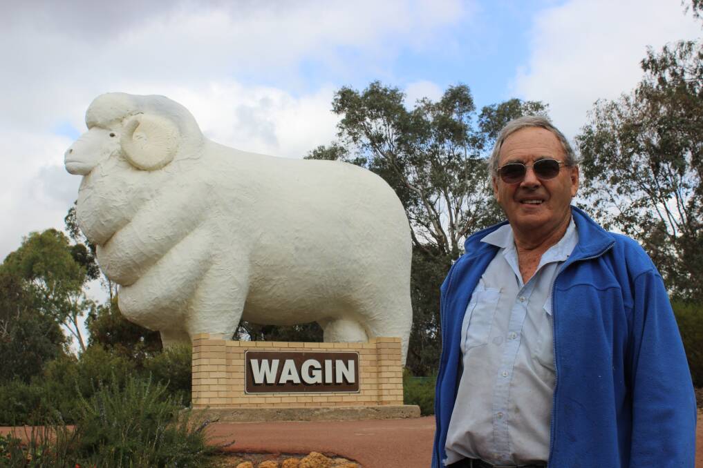  One of the initial instigators and co-ordinators of the 1985 Giant Ram project is Wagin local Ian Pederick, who is still very proud of the town's iconic structure 30 years later.