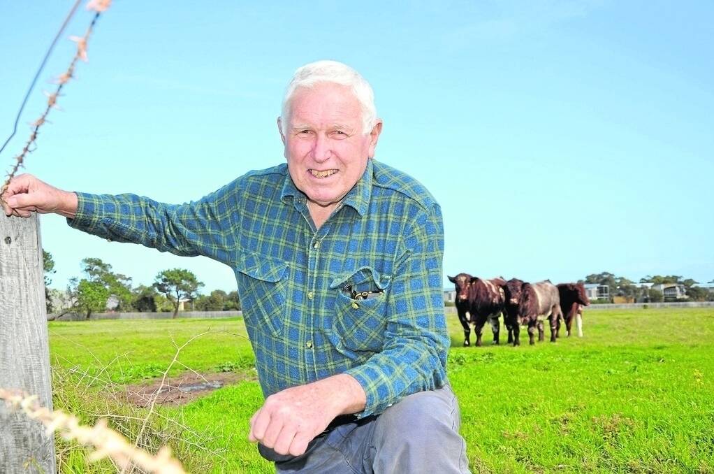 John Croser, Rapid Bay, targets the EU and MSA markets with his Shorthorn herd.