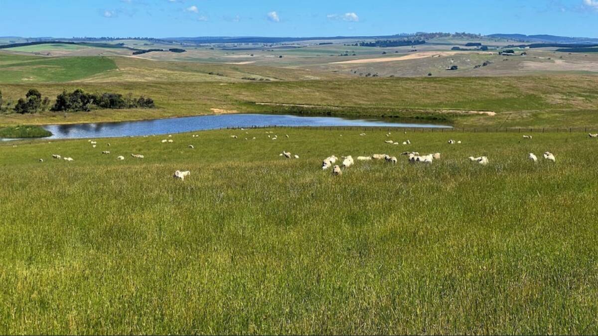 South Bukalong is described as being highly productive and sustainably managed basalt grazing and farming country.