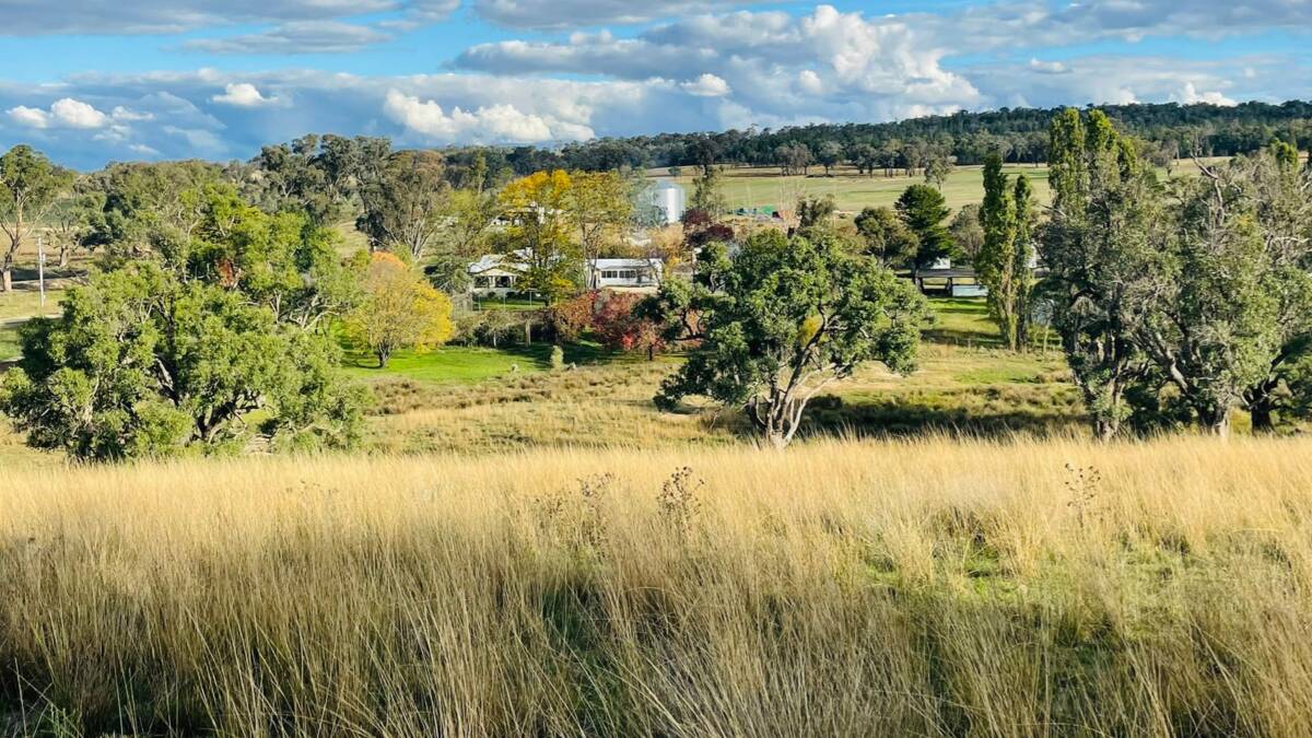 Northern Tablelands property Romani is an opportunity to secure 18,295 acres in three adjoining blocks. Picture supplied