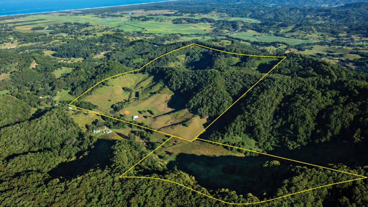 The Hollow is a 244 acre property featuring productive cattle country and spectacular rainforest that delivers a coastal lifestyle. Picture supplied