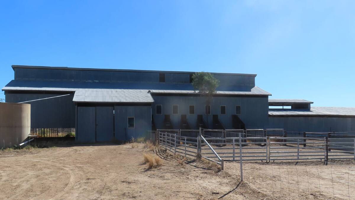 Improvements include a six stand steel shearing shed, steel panel sheep yards, and shearers' quarters. Picture supplied