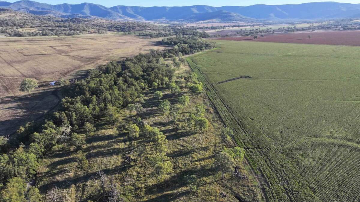 The aggregation features predominantly deep, black self-mulching clay soils rising to pockets of chocolate basalt soils, interspersed with riparian corridors. Picture supplied