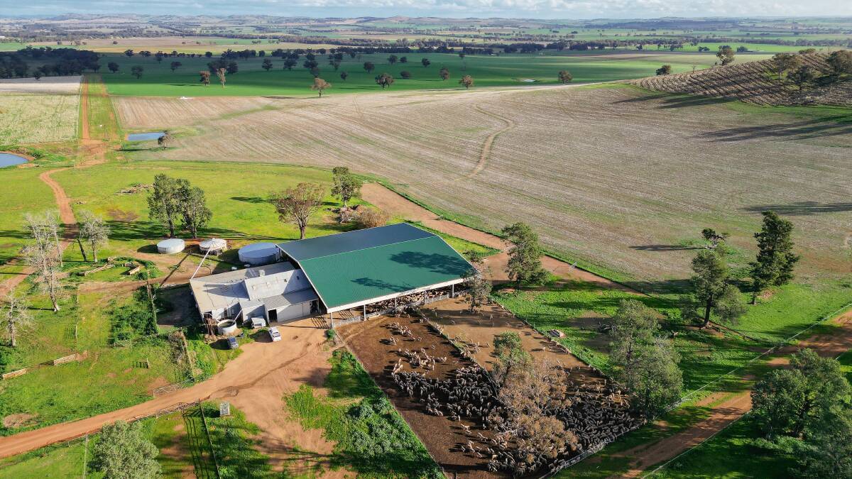 The six stand shearing shed is serviced by a set of undercover 2000 head capacity sheep yards. Picture supplied