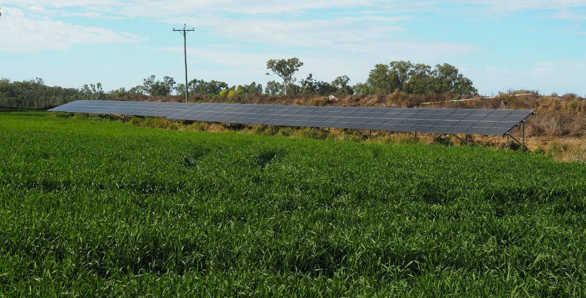 The farm's two solar systems are designed to cover about 80 per cent of daytime electricity usage.