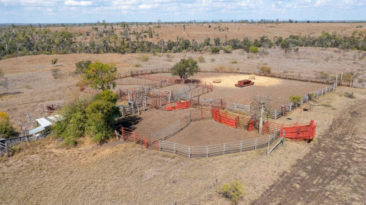 The functional cattle yards are reinforced with about 120 steel panels. Picture supplied
