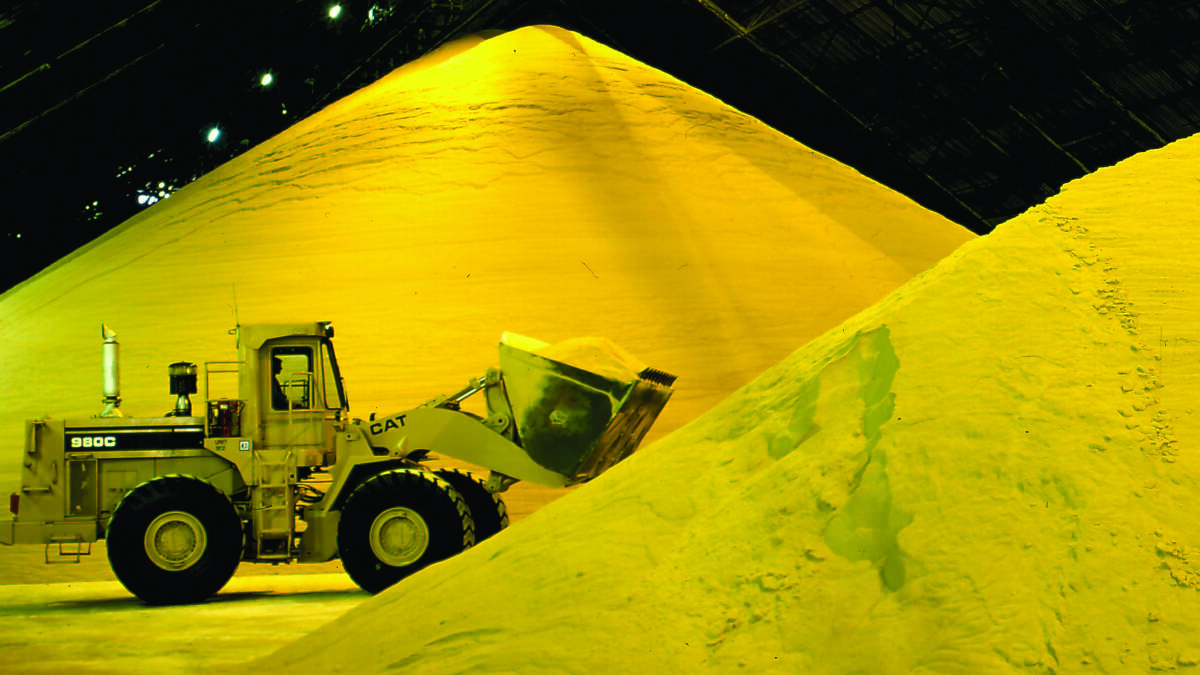 The last time sugar prices cracked $800/t was in 1980, more than 40 years ago. Picture - supplied
