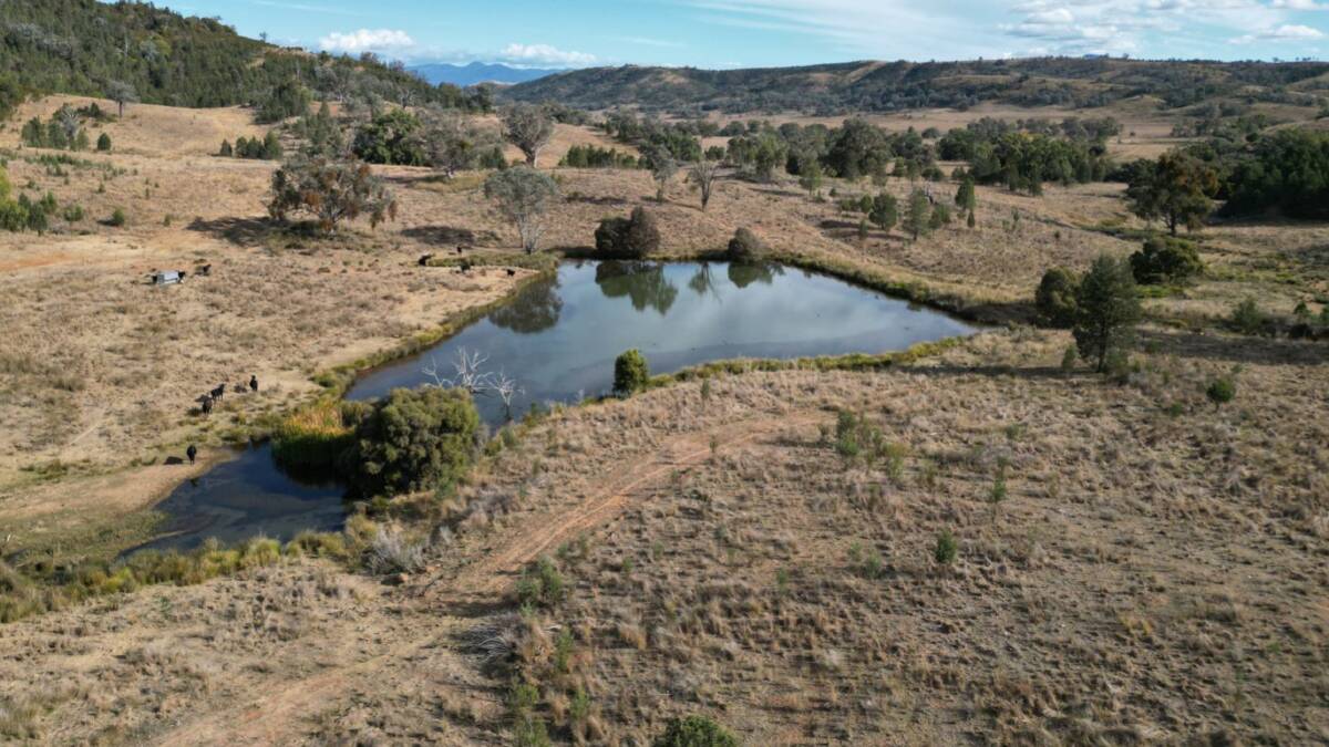 Water is supplied by eight dams and semi-permanent holes along Campbell and Dry creeks, which are complemented by three permanent springs. Picture supplied