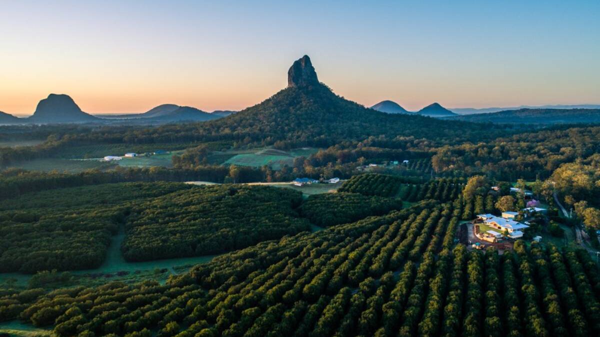 AN outstanding macadamia operation with more than 16,000 trees on a 100 hectares of land in the stunning Glass House Mountains region has hit the market. Picture - supplied