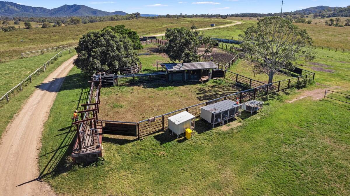 There are two sets of cattle yards - one each side of the Wide Bay Creek. Picture supplied