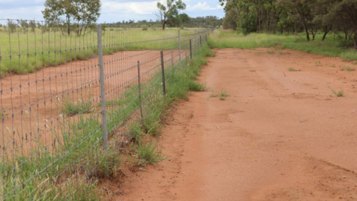 Three of Bundoo's boundaries are exclusion fencing, with the property cluster fenced with two other properties. Picture supplied