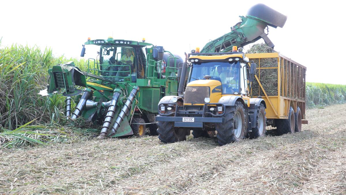 Growers were now hoping for favourable harvesting weather and for mills to remain on track. Picture - supplied