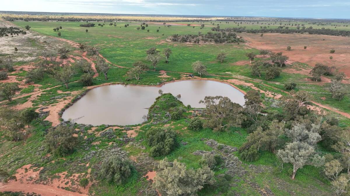 The 3892 hectare property is located at Hermidale, about 60km west of Nyngan. Picture - supplied