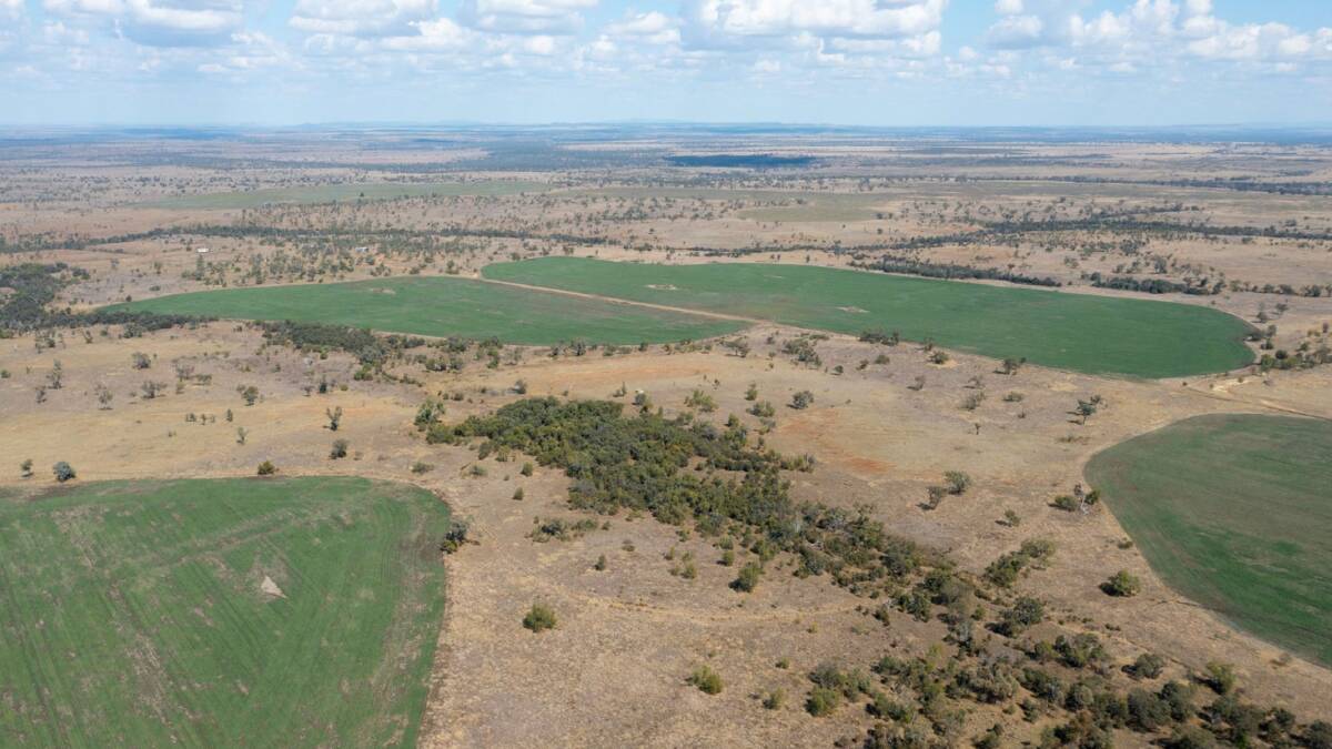 The property comprises of open, black soil downs, mountain coolabah woodland, and cleared brigalow scrub country. Picture supplied 