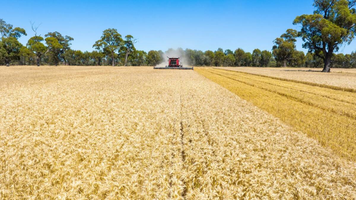 Some 2795 hectares of the highly productive and versatile broadscale enterprise is arable. Picture - supplied
