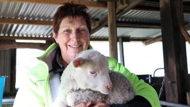 South Australian farmer Kaye Wicker said working with a Rural Aid counsellor had been very beneficial.