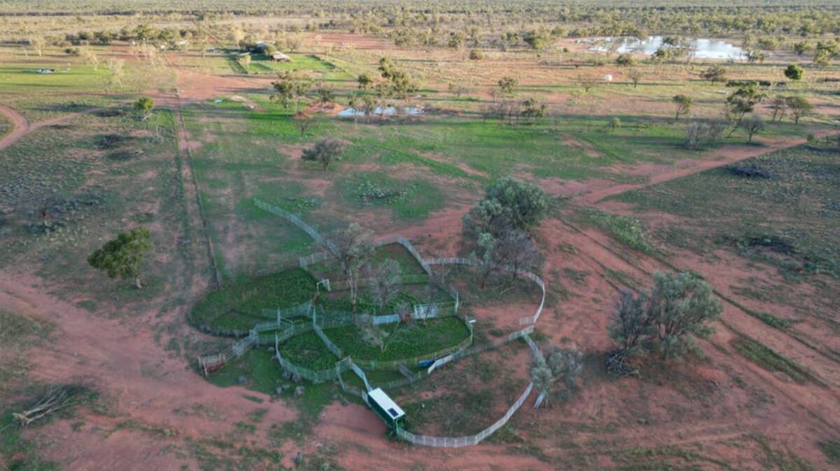 Mulga Downs has two sets of cattle yards and two sets of sheep yards. Picture supplied