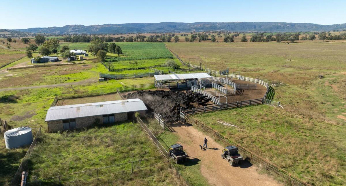A laneway system serviced a well designed set of 300 head capacity steel cattle yards that are equipped with an undercover crush and scales. Picture supplied