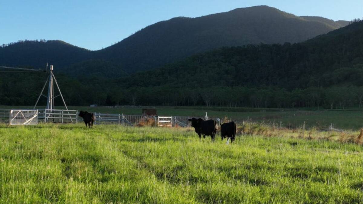 Brightly Grazing features a 80ha (200 acre) centre pivot supplied by a 260 megalitre water allocation. Picture supplied