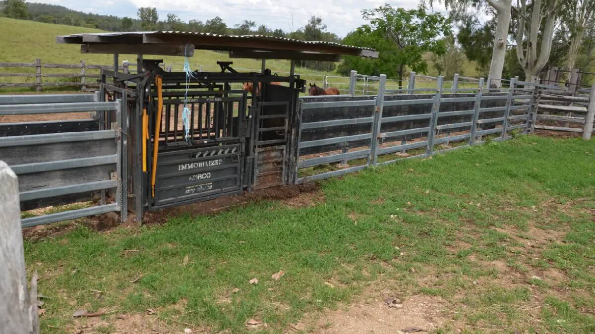There are seven main paddocks and timber and steel cattle yards.