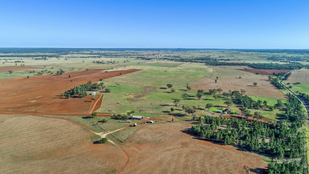 Narran Park is 381 hectares of productive kurrajong country with rich red basalt to red loam soils. Picture supplied