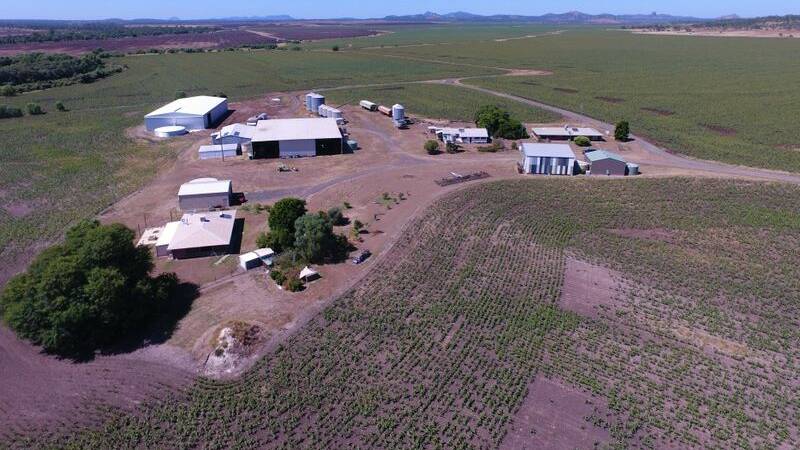 Highly productive Clermont property Jimbaroo Downs is on the