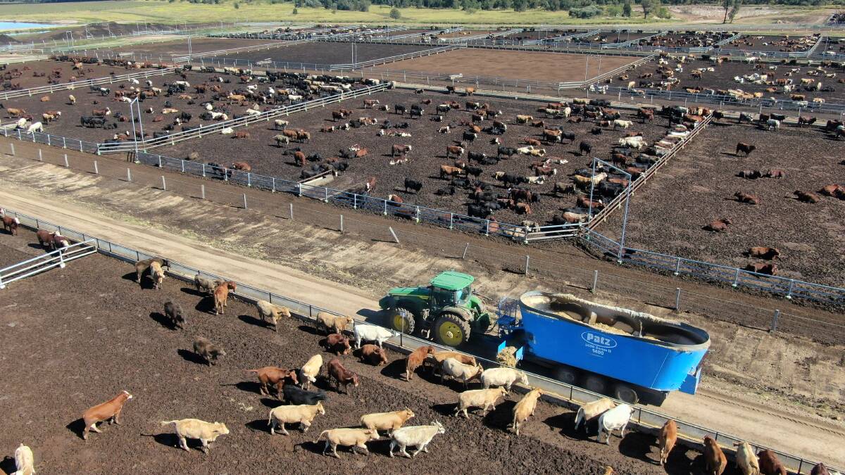 The 5960 head feedlot is situated on 842 hectares of exclusion fenced country north of Goondiwindi. Picture supplied 