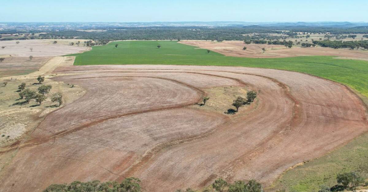 The property is divided into 41 paddocks, of which 14 are currently farmed. Picture supplied