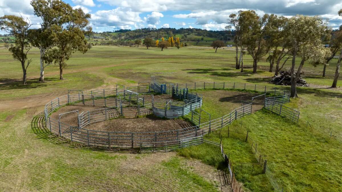 The functional cattle yards are equipped with a crush, curved race and a drafting pound. Picture supplied