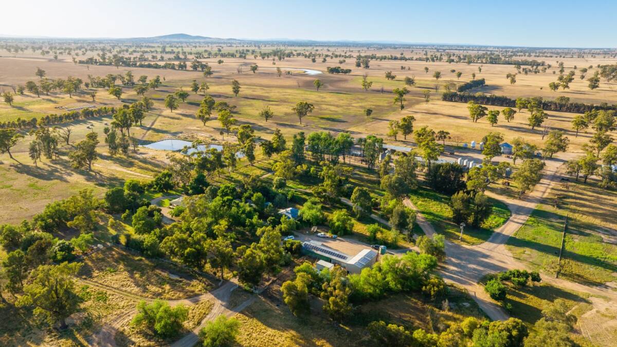 Impressive 2868 hectare mixed farming operation Green Park is being offered for sale as a whole or as five contingent assets. Picture - supplied