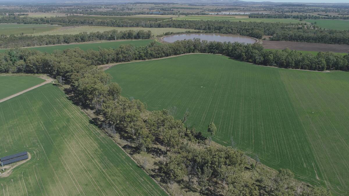 The very well developed Central Queensland irrigation farm Maloa has hit the market, to be auctioned by Elders in Biloela on October 12.