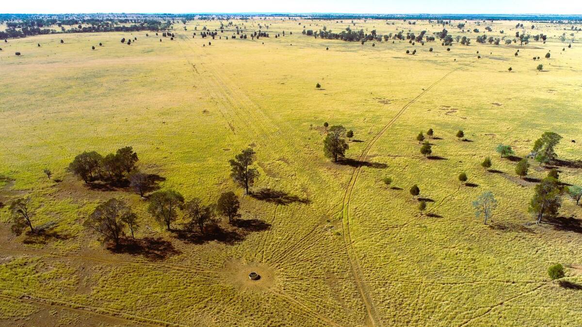 Tingun is 1094 hectares of high quality Maranoa cattle country estimated to carry 350 backgrounders or 150 breeders. Picture supplied