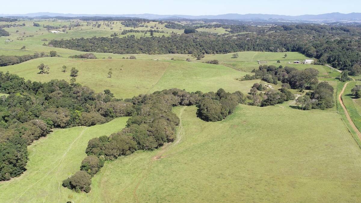A very attractive 440 acre property on Queensland's renown Atherton Tablelands has hit the market. Picture supplied
