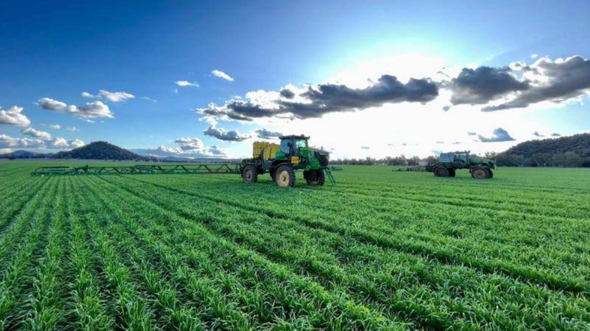 Mount Nombi is a high quality 7022 acres cropping and grazing operation on the western fringe of NSW's Liverpool Plains region. Picture supplied
